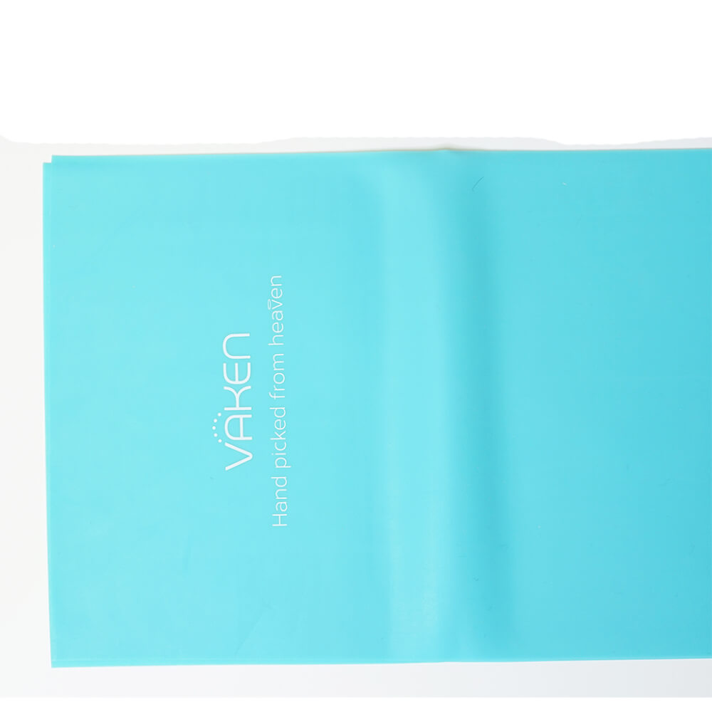  ยางยืดสำหรับออกกำลังกาย Vaken รุ่น Flex Band_Regular Strength (Non-Latex) - Aqua Blue